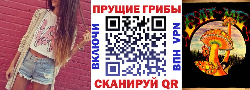 Галлюциногенные грибы Magic Shrooms наркошоп Жердевка